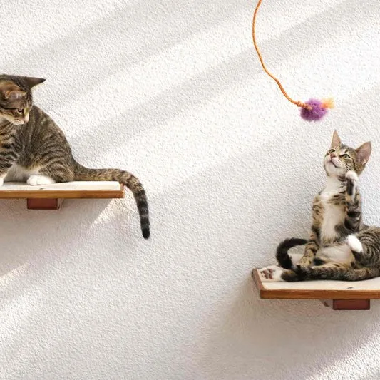 Cat Perch - Wall Mounted and Wooden