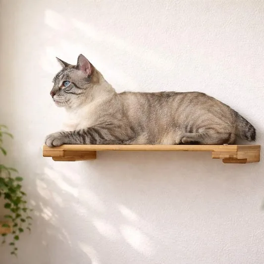 Wall Mounted Cat Shelf