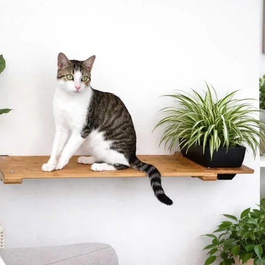 Cat Plant Stand for Wall
