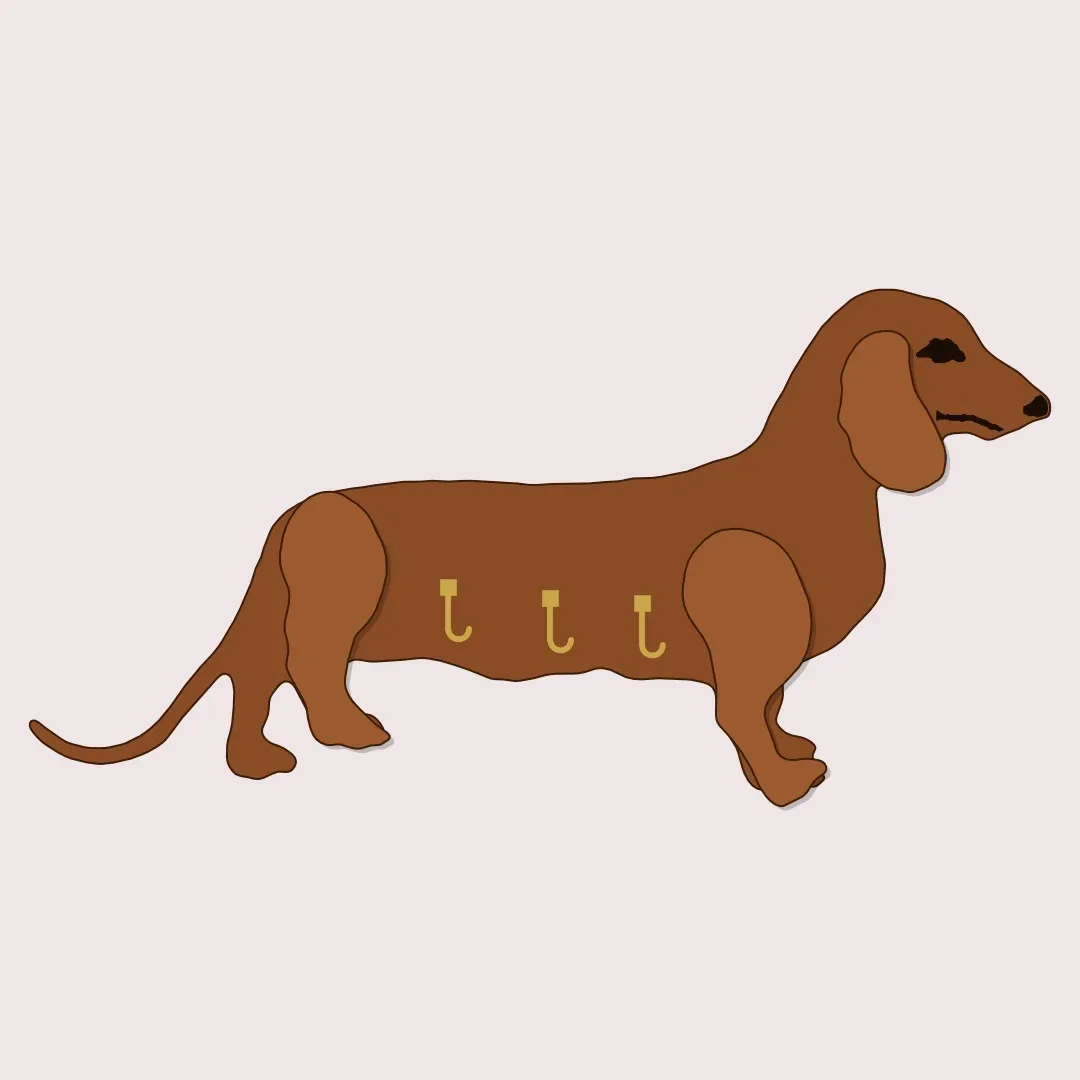 Dachshund key holder